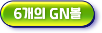 6개의 GN볼